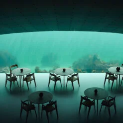ment® + Under