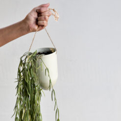 Alternative view of Ampel Liten, Grønn