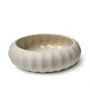 image of Porcelain sea urchin, seeds