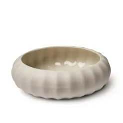 image of Porcelain sea urchin, seeds