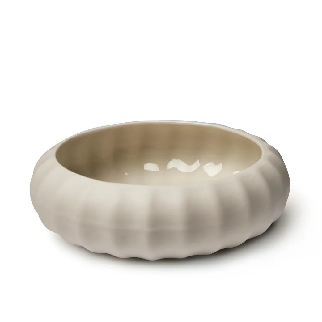 image of Porcelain sea urchin, seeds
