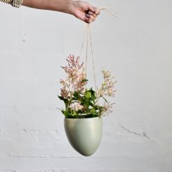 Alternative view of Ampel Medium, Grønn