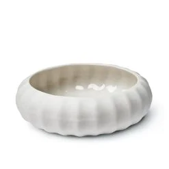 bilde av kråkebolle i porselen, hvit