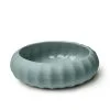picture of sea urchin in porcelain, lid