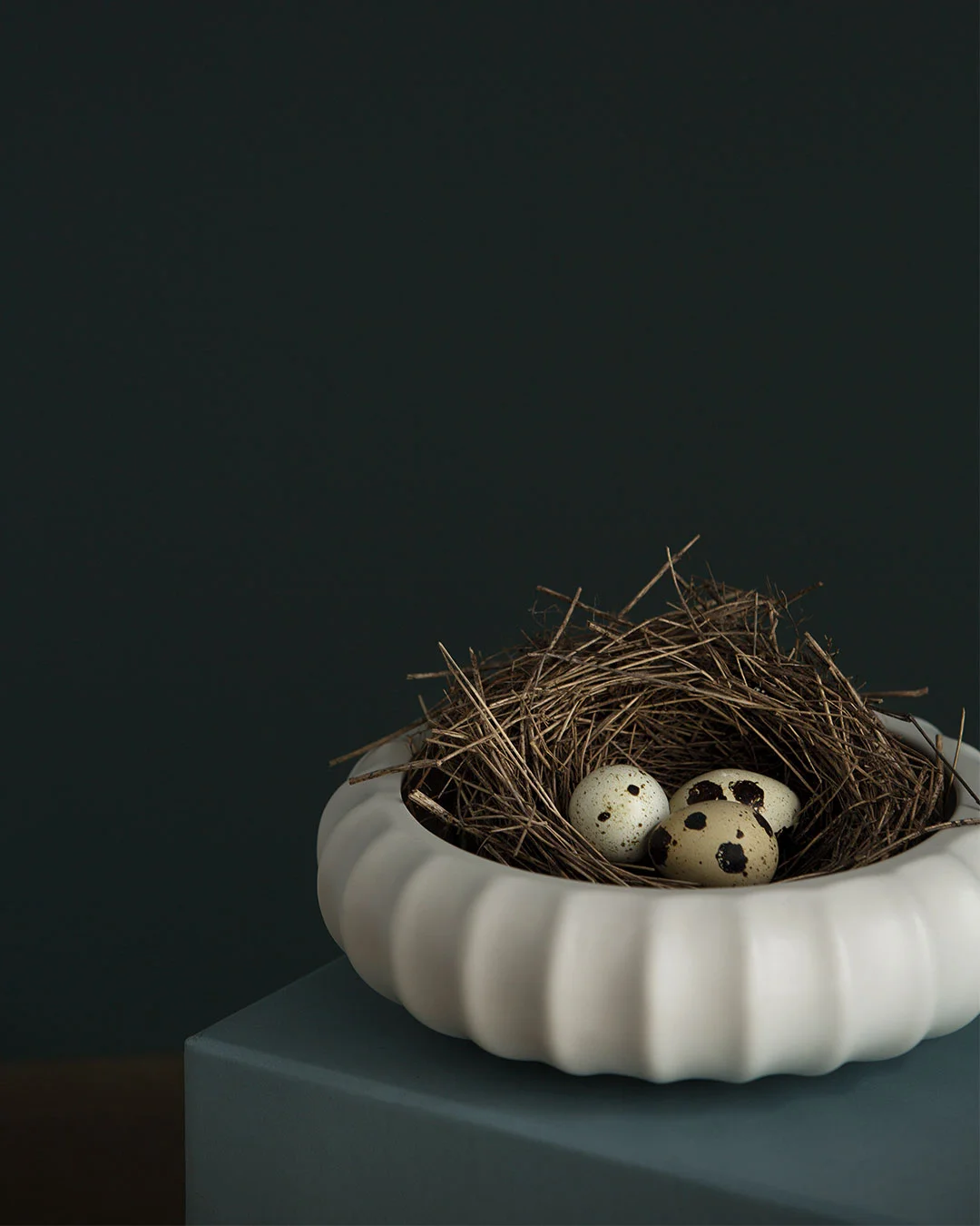 Sea urchin, Seeds - Image 3