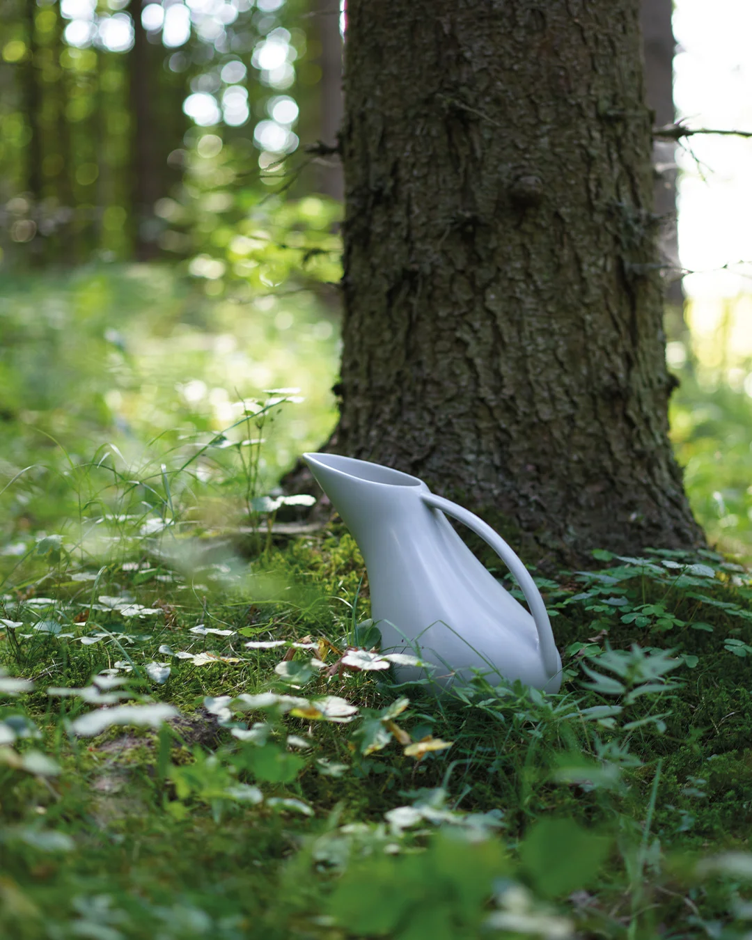 RAUS Mugge, Tåke - Bilde 2